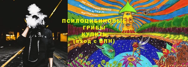 бошки Алексин