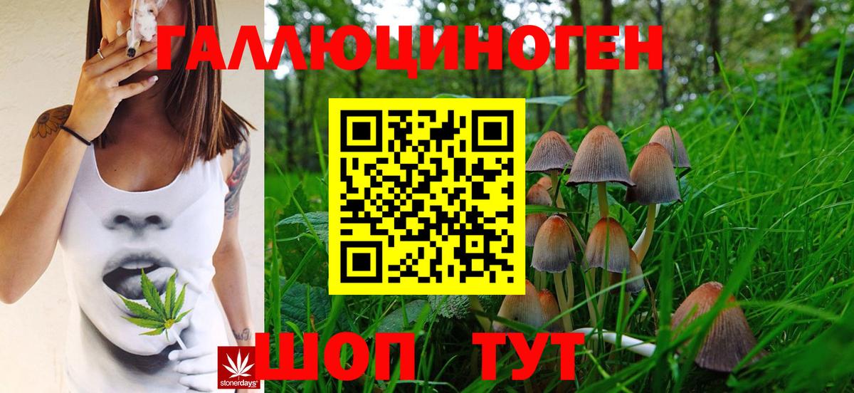 Галлюциногенные грибы Cubensis Чапаевск