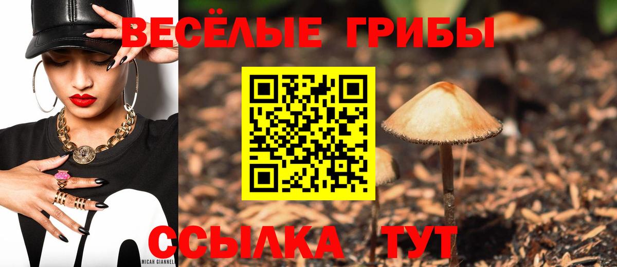 Галлюциногенные грибы Cubensis  закладка  Чапаевск  Вход с VPN 