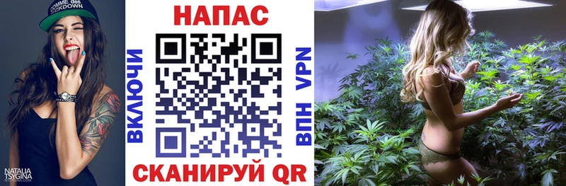 Бошки марихуана конопля  Чапаевск 